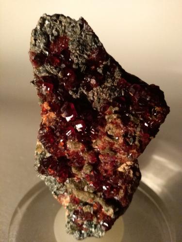 Grossular, Diopside, Clinochlore<br />Gava Valley, Genova Province, Liguria, Italy<br />70 x 39 mm<br /> (Author: Sante Celiberti)