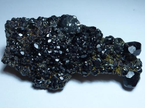 Grupo Granate y Magnetita<br />Burguillos del Cerro, Comarca Zafra-Río Bodión, Badajoz, Extremadura, Spain<br />6 x 3,5 cm.<br /> (Autor: javier ruiz martin)