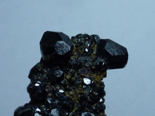 Grupo Granate y Magnetita<br />Burguillos del Cerro, Comarca Zafra-Río Bodión, Badajoz, Extremadura, Spain<br />6 x 3,5 cm.<br /> (Autor: javier ruiz martin)
