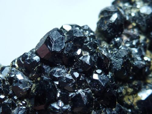Grupo Granate y Magnetita<br />Burguillos del Cerro, Comarca Zafra-Río Bodión, Badajoz, Extremadura, Spain<br />6 x 3,5 cm.<br /> (Autor: javier ruiz martin)