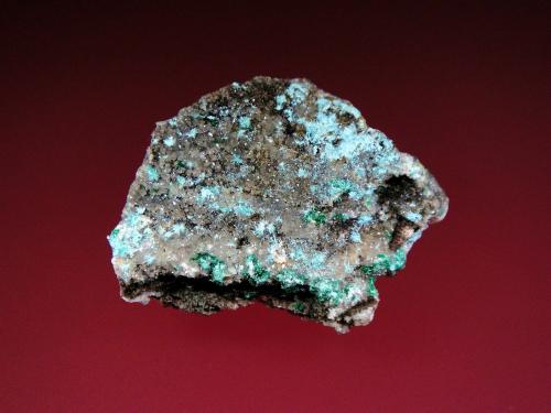 Plancheita<br />Mina Shangulowé, Distrito Kambove, Cinturón de cobre de Katanga, Katanga (Shaba), República Democrática del Congo (Zaire)<br />5 x 3 cm.<br /> (Autor: Antonio P. López)