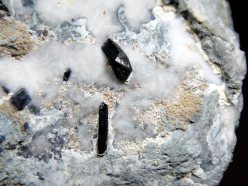 Neptunita<br />Mina California State Gem (Benitoite Gem Mine), Zona San Benito River headwaters, Pico Santa Rita, Distrito New Idria, Condado San Benito, California, USA<br />Cristal mayor 6 mm.<br /> (Autor: Antonio P. López)