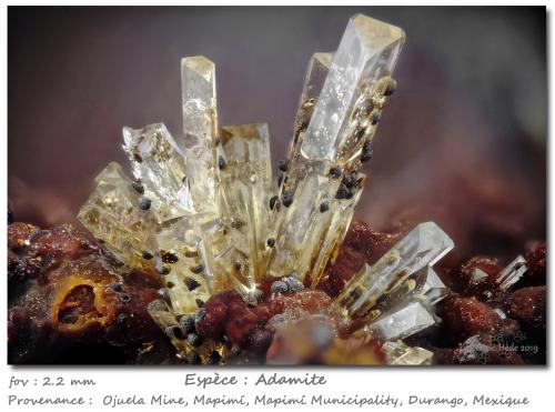 Adamite with Goethite<br />Mina Ojuela, Mapimí, Municipio Mapimí, Durango, México<br />fov 2.2 mm<br /> (Author: ploum)