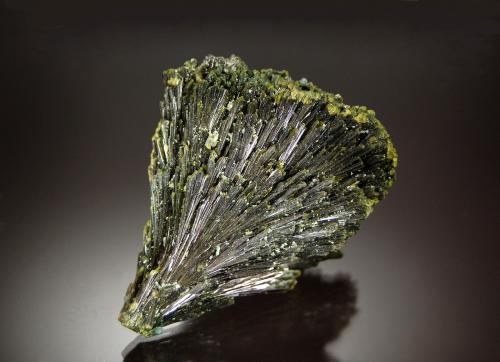 Epidote<br />Green Monster Mountain, Prince of Wales Island, Ketchikan District, Prince of Wales-Outer Ketchikan Borough, Alaska, USA<br />3.0 cm x 5.0 cm x 6.0 cm<br /> (Author: Michael Shaw)