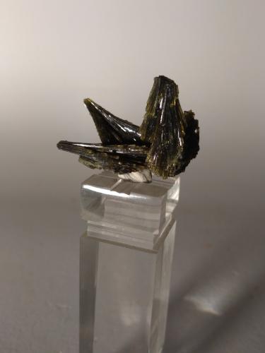 Epidote<br />Cadarese Quarries, Premia gneiss Quarries, Premia, Antigorio Valley, Ossola Valley, Verbano-Cusio-Ossola Province, Piedmont (Piemonte), Italy<br />28 x 21 mm<br /> (Author: Sante Celiberti)