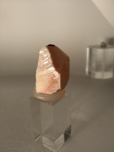 Orthoclase<br />Baveno, Lago Maggiore, Provincia Verbano-Cusio-Ossola, Piamonte (Piemonte), Italia<br />25 x 16 mm<br /> (Author: Sante Celiberti)