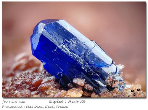 Azurite<br />Mas Dieu, Mercoirol, Alès, Gard, Occitanie, France<br />fov 2 mm<br /> (Author: ploum)