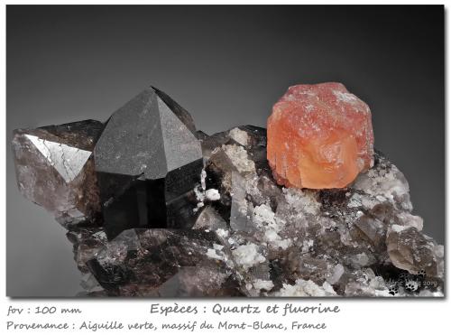Fluorite on Quartz (variety smoky)<br />Aiguille Verte, Mont Blanc Massif, Chamonix, Haute-Savoie, Auvergne-Rhône-Alpes, France<br />fov 100 mm<br /> (Author: ploum)