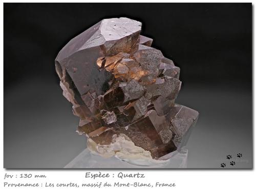 Quartz (variety gwindel)<br />Les Courtes, Bassin du Talèfre, Mont Blanc Massif, Chamonix, Haute-Savoie, Auvergne-Rhône-Alpes, France<br />fov 130 mm<br /> (Author: ploum)