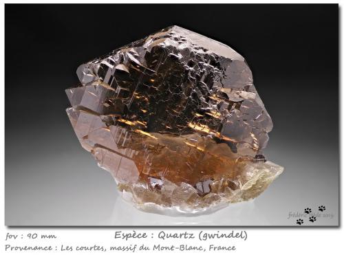 Quartz (variety gwindel)<br />Les Courtes, Bassin du Talèfre, Mont Blanc, Chamonix, Haute-Savoie, Auvergne-Rhône-Alpes, Francia<br />90 mm<br /> (Author: ploum)