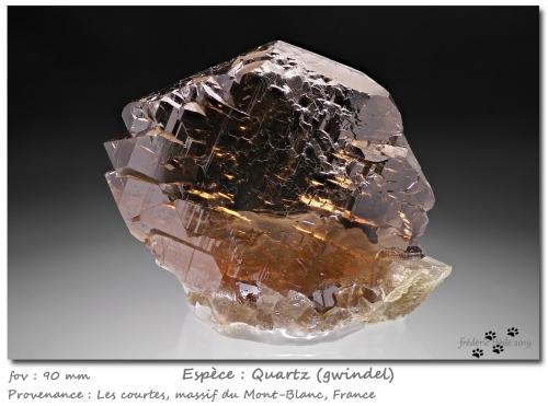 Quartz (variety gwindel)<br />Les Courtes, Bassin du Talèfre, Mont Blanc Massif, Chamonix, Haute-Savoie, Auvergne-Rhône-Alpes, France<br />90 mm<br /> (Author: ploum)