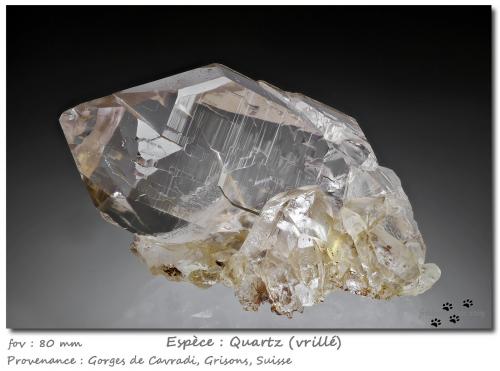 Quartz (variety smoky)<br />Cavradi, Curnera Valley, Tujetsch (Tavetsch), Vorderrhein Valley, Grischun (Grisons; Graubünden), Switzerland<br />fov 80 mm<br /> (Author: ploum)