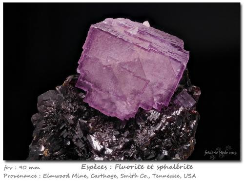 Fluorite on Sphalerite<br />Mina Elmwood, Carthage, Distrito Central Tennessee Ba-F-Pb-Zn, Condado Smith, Tennessee, USA<br />fov 90 mm<br /> (Author: ploum)