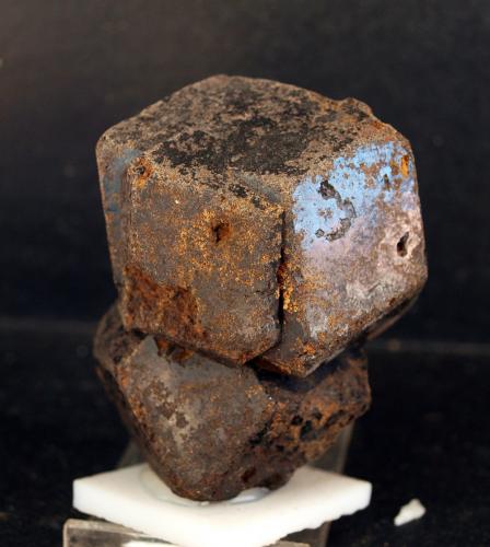 Granate (Grupo)<br />San Antonio Mine, Cehegín, Comarca Noroeste, Region of Murcia (Murcia), Spain<br />6.5 x 5.5 cm.<br /> (Autor: Pedro Antonio)