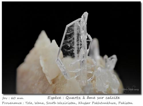 Quartz (variety faden)<br />Tole, Wana, Waziristan Meridional, Provincia Khyber Pakhtunkhwa, Paquistán<br />fov 60 mm<br /> (Author: ploum)