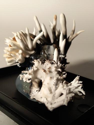 Aragonite (variety flos ferri)<br />Trompia Valley, Brescia Province, Lombardy, Italy<br />47 x 36 mm<br /> (Author: Sante Celiberti)