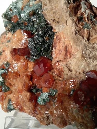 Grossular (variety hessonite), Vesuvianite, Clinochlore<br />Falin Lake, Usseglio, Val di Viù / Viù Valley, Lanzo Valleys (Valli di Lanzo), Metropolitan City of Turin Province, Piedmont (Piemonte), Italy<br />68 x 65mm<br /> (Author: Sante Celiberti)