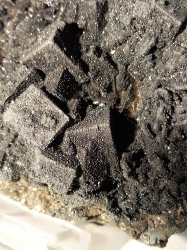 Arsenopirita, Pirrotita, Pirita<br />Niccioleta Mine, Massa Marittima, Grosseto Province, Tuscany, Italy<br />105 x 68 mm<br /> (Autor: Sante Celiberti)