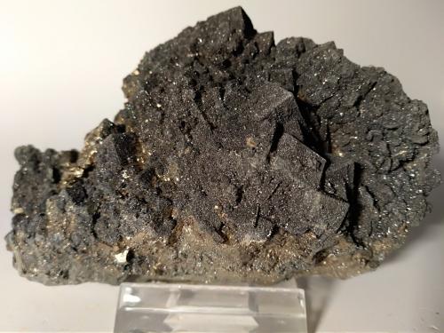 Arsenopirita, Pirrotita, Pirita<br />Niccioleta Mine, Massa Marittima, Grosseto Province, Tuscany, Italy<br />105 x 68 mm<br /> (Autor: Sante Celiberti)
