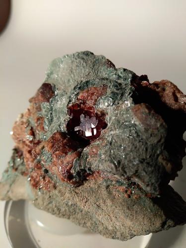 Grossular (variety hessonite), Clinochlore<br />Susa Valley, Metropolitan City of Turin Province, Piedmont (Piemonte), Italy<br />73 x 59 mm<br /> (Author: Sante Celiberti)