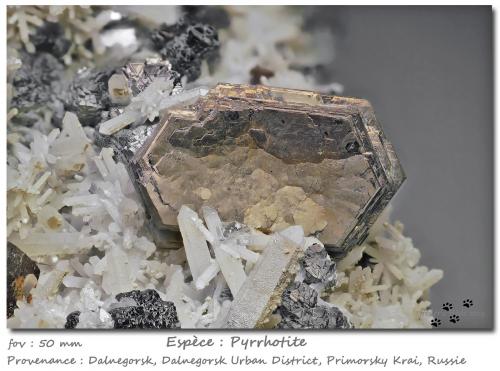 Pyrrhotite<br />Dalnegorsk, Dalnegorsk Urban District, Primorsky Krai, Russia<br />fov 50 mm<br /> (Author: ploum)