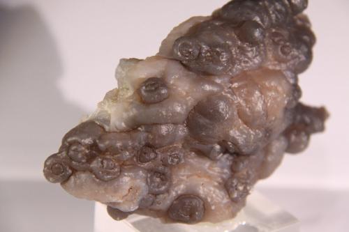 Quartz (variety chalcedony)<br />Smara (Esmara), Western Sahara, Morocco<br />108mm x 67mm x 34mm<br /> (Author: Firmo Espinar)