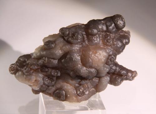 Quartz (variety chalcedony)<br />Smara (Esmara), Western Sahara, Morocco<br />108mm x 67mm x 34mm<br /> (Author: Firmo Espinar)