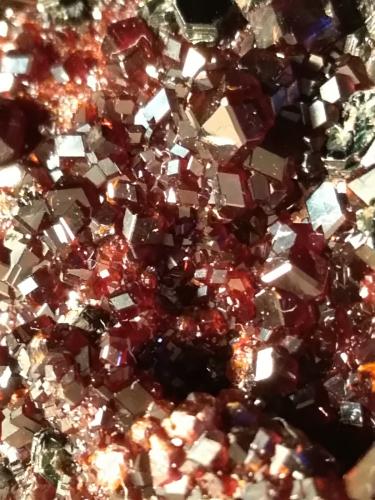 Grossular (variety hessonite), Clinochlore<br />Faiallo Pass, Urbe, Savona Province, Liguria, Italy<br />77,5 x 60 mm<br /> (Author: Sante Celiberti)