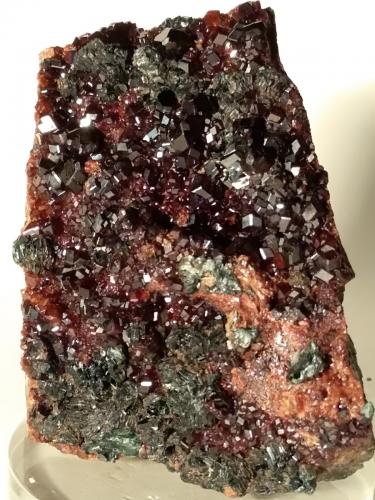 Grossular (variety hessonite), Clinochlore<br />Faiallo Pass, Urbe, Savona Province, Liguria, Italy<br />77,5 x 60 mm<br /> (Author: Sante Celiberti)