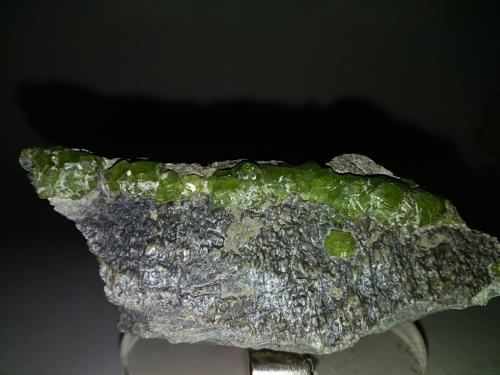 Andradite (variety demantoid)<br />Malenco Valley (Valmalenco), Sondrio Province, Lombardy, Italy<br />77 x 36 mm<br /> (Author: Sante Celiberti)