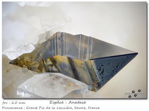 Anatase<br />Grand Pic de la Lauzière, Macizo La Lauzière, Saint-Jean-de-Maurienne, Saboya, Auvergne-Rhône-Alpes, Francia<br />fov 2.0 mm<br /> (Author: ploum)