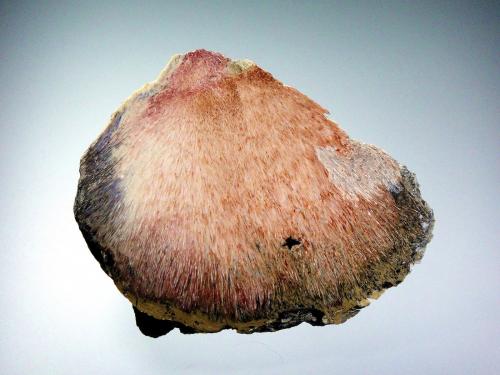 Yuksporita<br />Hackman Valley, Yukspor Mountain, Khibiny Massif, Kola Peninsula, Murmanskaja Oblast, Northern Region, Russia<br />8 x 6,5 cm.<br /> (Autor: Antonio P. López)