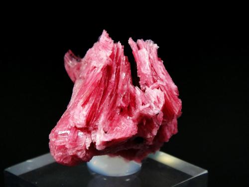 Rhodonita (Rodonita) y Alabandita<br />Mina San Martín, Chiurucu (Chiuruco), Distrito Huallanca, Provincia Bolognesi, Departamento Ancash, Perú<br />5 x 5 cm.<br /> (Autor: Antonio P. López)