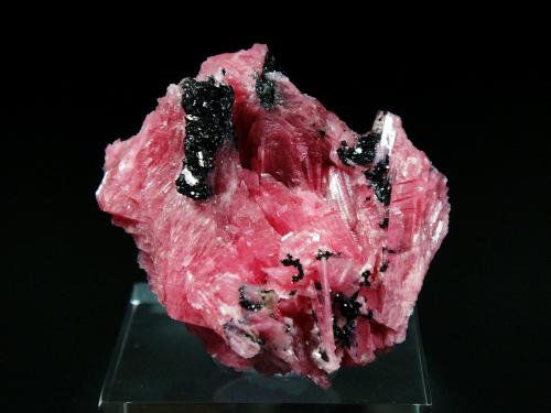 Rhodonita (Rodonita) y Alabandita<br />Mina San Martín, Chiurucu (Chiuruco), Distrito Huallanca, Provincia Bolognesi, Departamento Ancash, Perú<br />5 x 5 cm.<br /> (Autor: Antonio P. López)