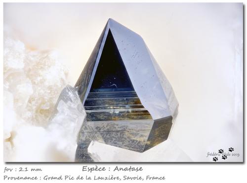 Anatase<br />Grand Pic de la Lauzière, Macizo La Lauzière, Saint-Jean-de-Maurienne, Saboya, Auvergne-Rhône-Alpes, Francia<br />fov 2.1 mm<br /> (Author: ploum)