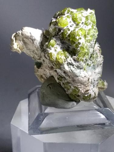 Andradite (variety demantoid), asbestos<br />Sferlùn asbestos Mine, Vallone del Cengiaccio, Lanzada, Malenco Valley (Valmalenco), Sondrio Province, Lombardy, Italy<br />33 x 32 mm<br /> (Author: Sante Celiberti)