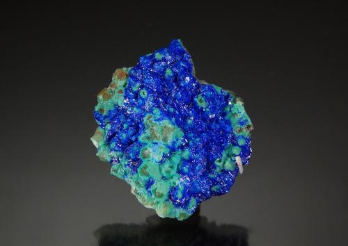 Linarite<br />Grand Reef Mine, Laurel Canyon, Grand Reef Mountain, Klondyke, Aravaipa District, Graham County, Arizona, USA<br />2.1 cm x 2.5 cm<br /> (Author: Michael Shaw)