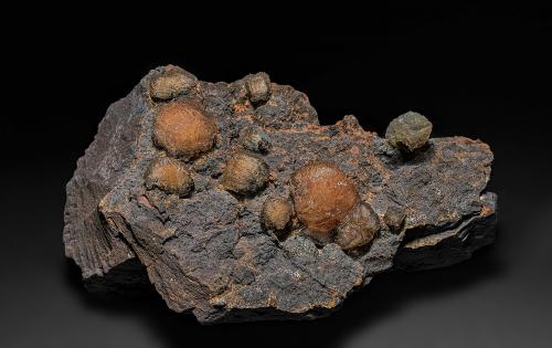Olmiite<br />Mina N'Chwaning II, Zona minera N'Chwaning, Kuruman, Kalahari manganese field (KMF), Provincia Septentrional del Cabo, Sudáfrica<br />11.5 x 7.5 cm<br /> (Author: am mizunaka)