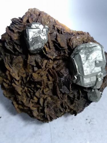 Pyrite, Siderite<br />Mina Brosso, Cálea, Léssolo, Distrito Canavese, Provincia Ciudad metropolitana de Turín, Piamonte (Piemonte), Italia<br />55 x 48 mm<br /> (Author: Sante Celiberti)