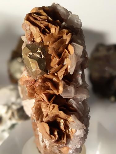 Pyrite, Calcite, Baryte, Siderite, Talc<br />Mina Brosso, Cálea, Léssolo, Distrito Canavese, Provincia Ciudad metropolitana de Turín, Piamonte (Piemonte), Italia<br />49 x 50 mm<br /> (Author: Sante Celiberti)