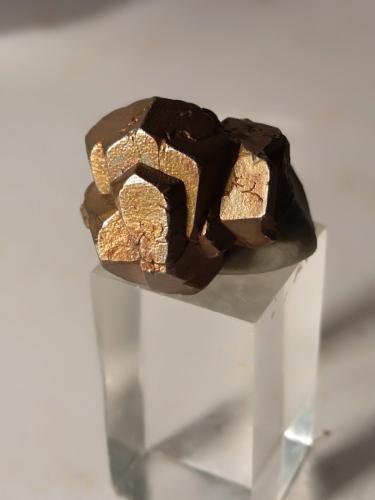 Pyrite<br />Brosso Mine, Cálea, Léssolo, Canavese District, Metropolitan City of Turin Province, Piedmont (Piemonte), Italy<br />17,6 x 18,2<br /> (Author: Sante Celiberti)