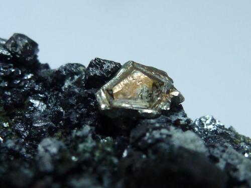Magnetita, Clinocloro, Pirita, Actinolita y Calcita<br />La Herrería Mine, Burguillos del Cerro, Comarca Zafra-Río Bodión, Badajoz, Extremadura, Spain<br />7 x 4 cm.<br /> (Autor: javier ruiz martin)