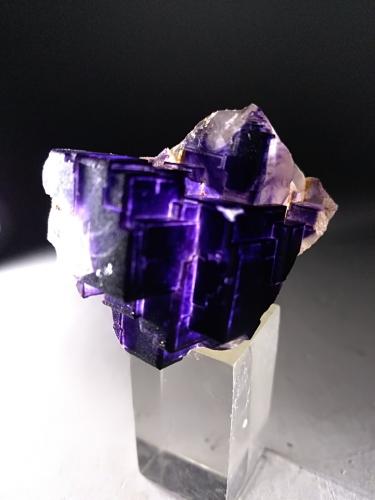 Fluorite<br />Zogno, Brembana Valley, Bergamo Province, Lombardy/Lombardia, Italy<br />37 x 30 mm<br /> (Author: Sante Celiberti)