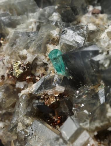 Beryl (variety emerald), Pyrite, Dolomite, Albite (variety cleavelandite)<br />Chivor mining district, Municipio Chivor, Eastern Emerald Belt, Boyacá Department, Colombia<br />26mm x 31mm x 21mm, xl=2mm<br /> (Author: Fiebre Verde)