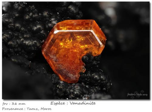 Vanadinite<br />Taouz, Provincia Er Rachidia, Región Drâa-Tafilalet, Marruecos<br /><br /> (Author: ploum)