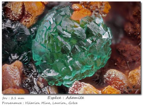 Adamite<br />Hilarion Mine, Hilarion area, Kamariza Mines, Agios Konstantinos, Lavrion Mining District, Attikí (Attica) Prefecture, Greece<br />fov 2.1 mm<br /> (Author: ploum)