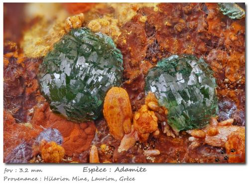 Adamite<br />Mina Hilarion, Zona Hilarion, Minas Kamariza, Agios Konstantinos, Distrito minero Lavrion, Prefectura Attikí (Attica), Grecia<br />fov 3.2 mm<br /> (Author: ploum)