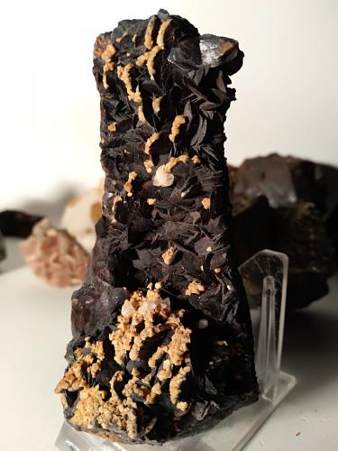 Goethite after Siderite, Ankerite, Calcite<br />Brosso Mine, Cálea, Léssolo, Canavese District, Metropolitan City of Turin Province, Piedmont (Piemonte), Italy<br />107 x 72 mm<br /> (Author: Sante Celiberti)