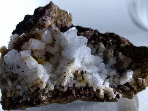 Baryte on Siderite<br />Brosso Mine, Cálea, Léssolo, Canavese District, Metropolitan City of Turin Province, Piedmont (Piemonte), Italy<br />64 x 48 mm<br /> (Author: Sante Celiberti)