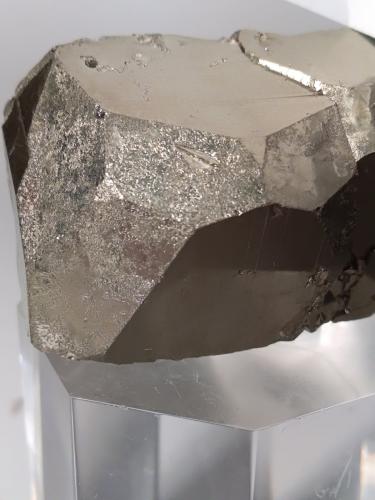 Pirita<br />Mina Gavorrano, Gavorrano, Provincia Grosseto, Toscana, Italia<br />30,2 x 37,2 mm<br /> (Autor: Sante Celiberti)